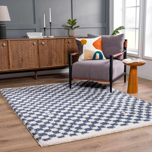 Kieu Blue & White Checkered Area Rug-0