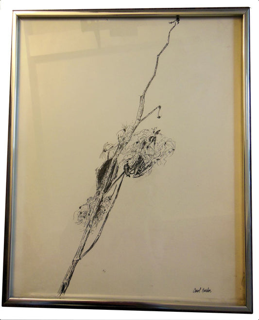 Carol Kardon. Detailed Flower in Black and White. Framed drawing-0