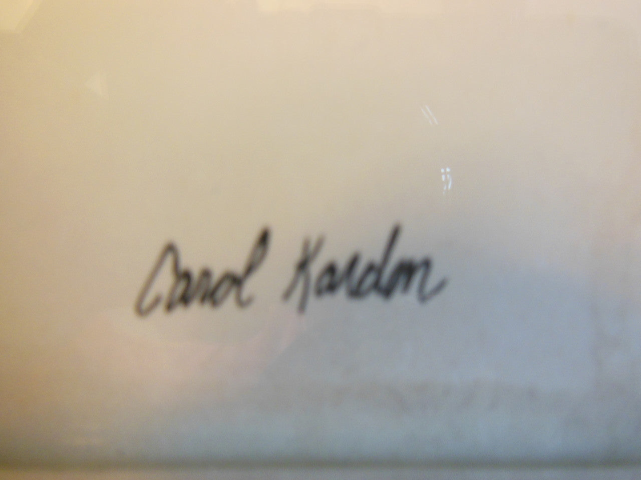 Carol Kardon. Detailed Flower in Black and White. Framed drawing-5