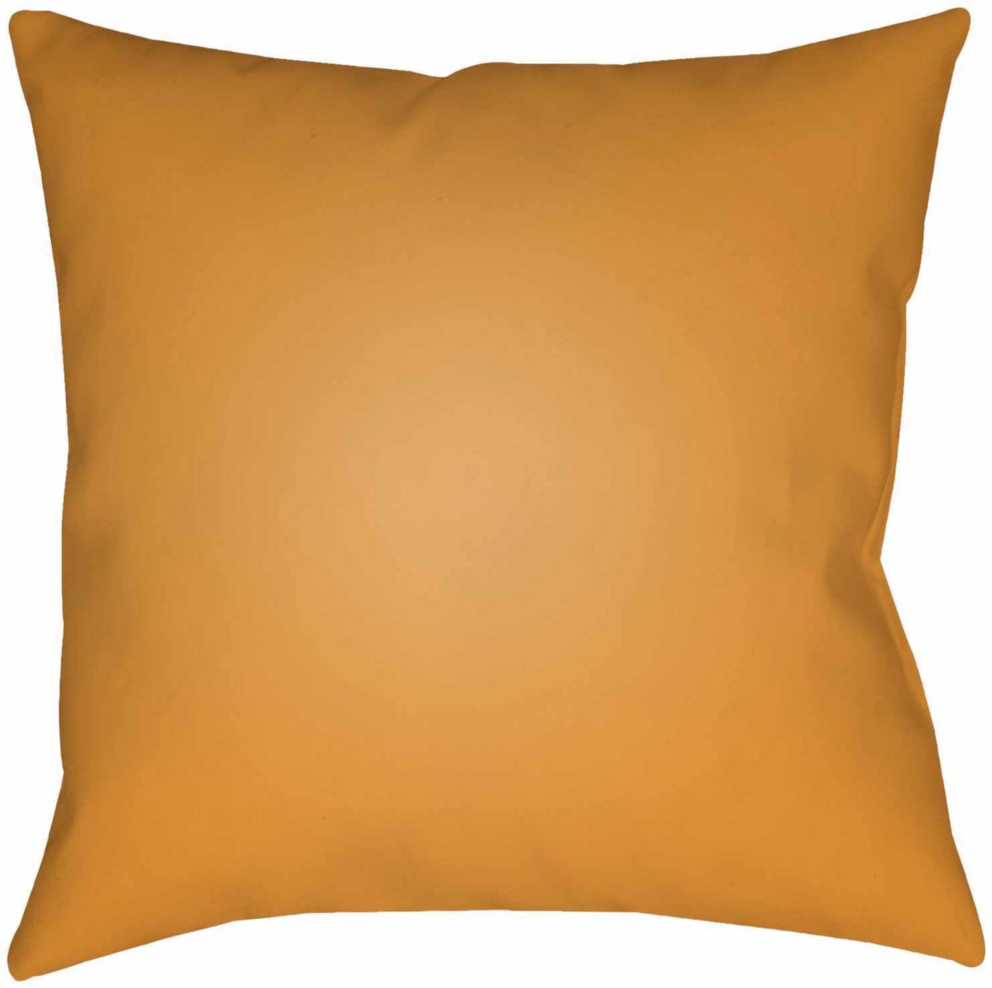 Apad Throw Pillow-1