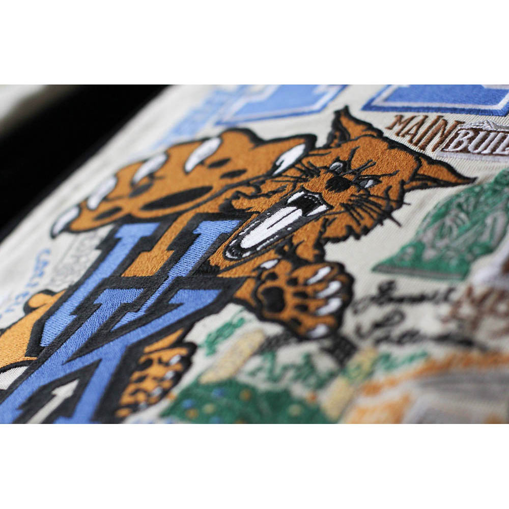 Kentucky, University of Collegiate Embroidered Pillow by CatStudio-2