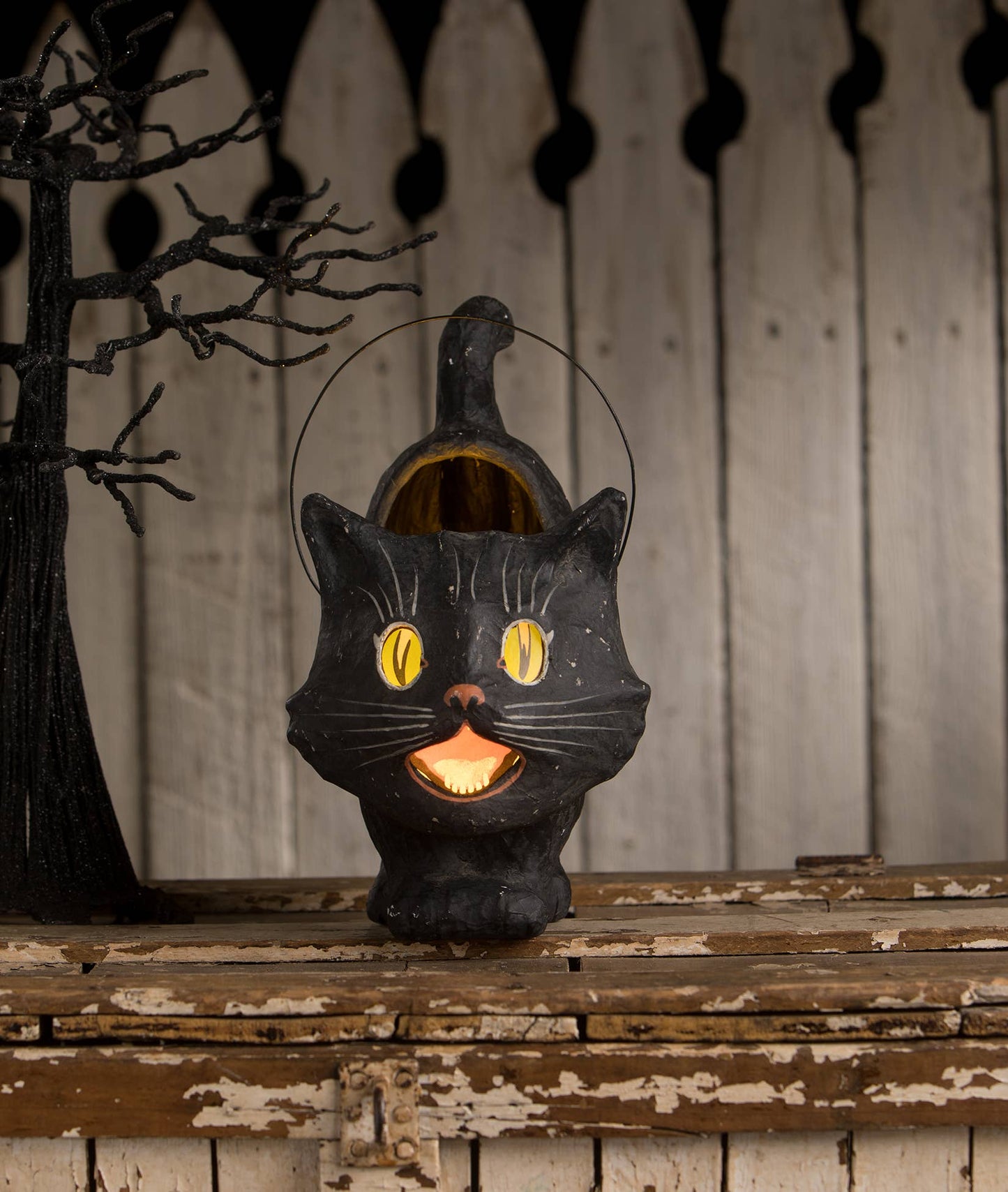 Scaredy Sassy Cat Bucket-1