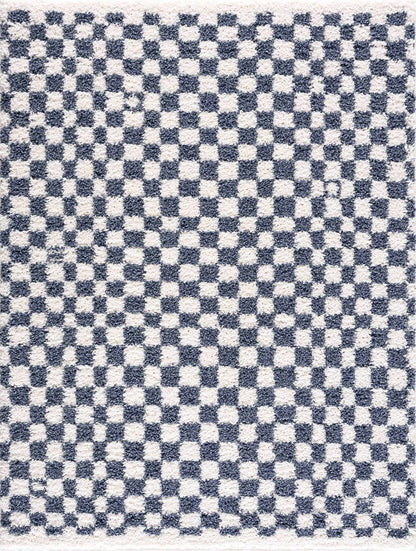Kieu Blue & White Checkered Area Rug-1