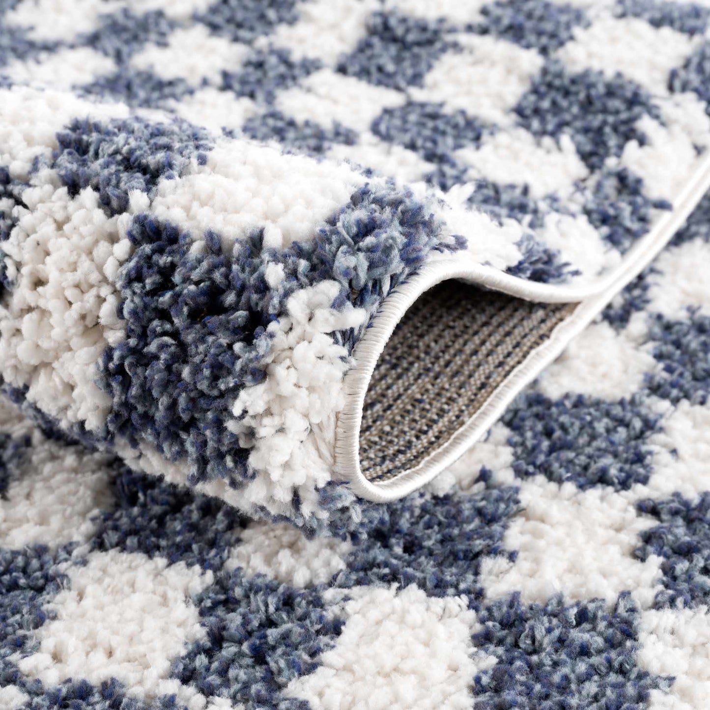 Kieu Blue & White Checkered Area Rug-3