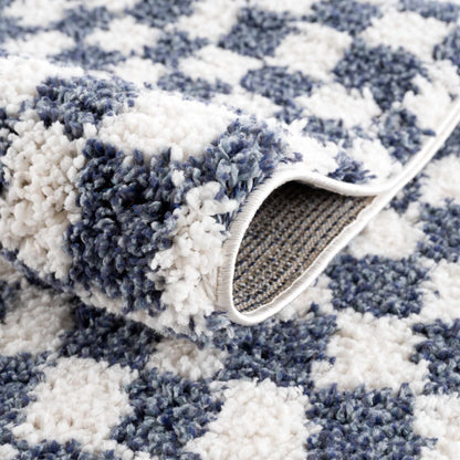 Kieu Blue & White Checkered Area Rug-3
