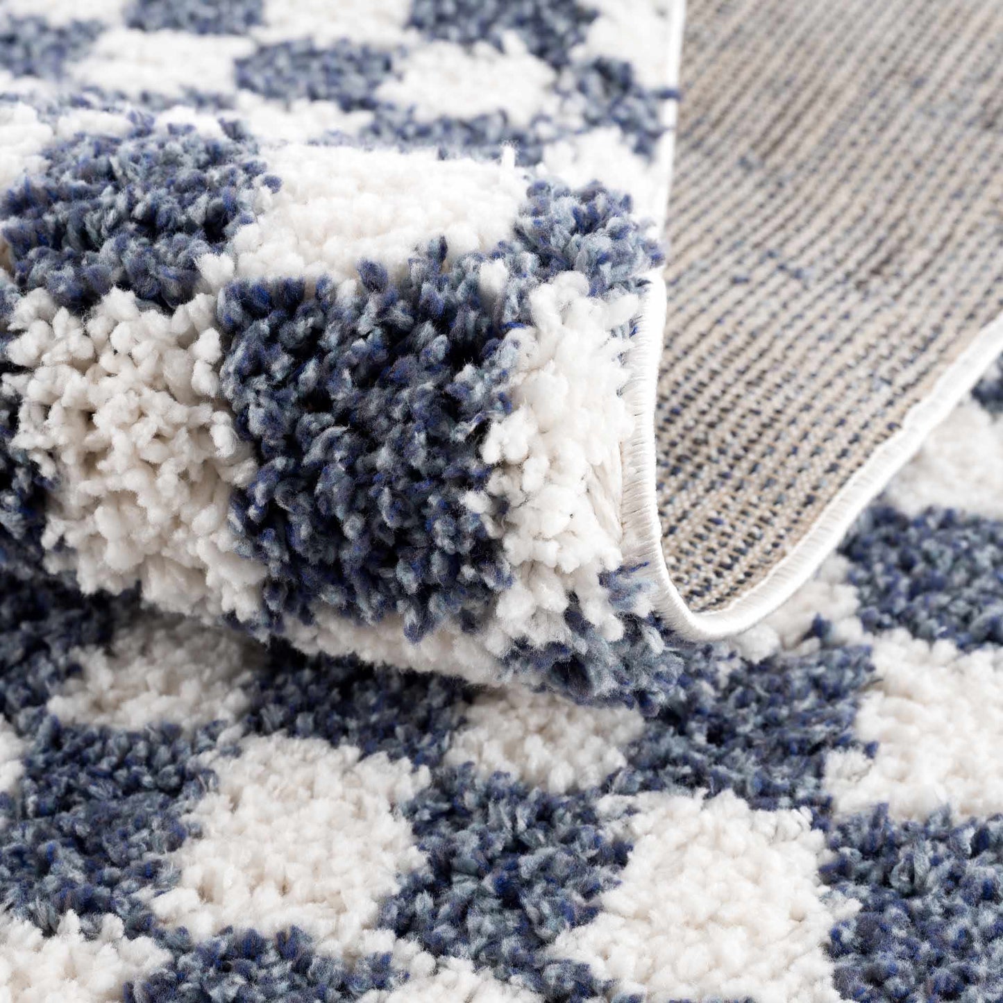 Kieu Blue & White Checkered Area Rug-4