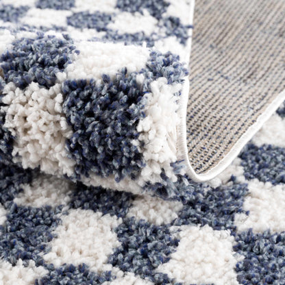 Kieu Blue & White Checkered Area Rug-4