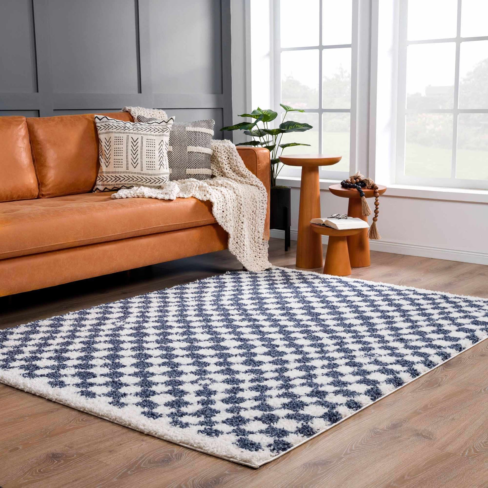 Kieu Blue & White Checkered Area Rug-2