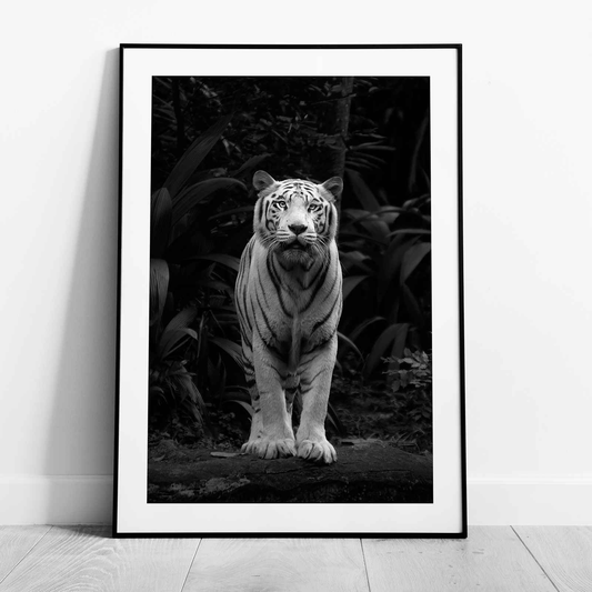 Black & White Tiger in the Jungle - Rolled Poster Wall Art Print-0