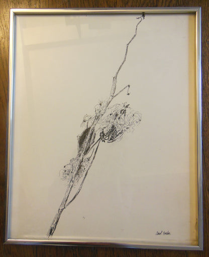 Carol Kardon. Detailed Flower in Black and White. Framed drawing-1