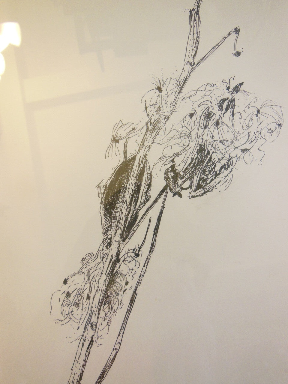 Carol Kardon. Detailed Flower in Black and White. Framed drawing-4
