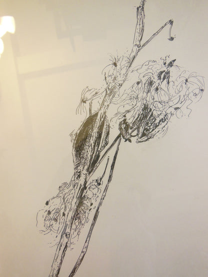 Carol Kardon. Detailed Flower in Black and White. Framed drawing-4