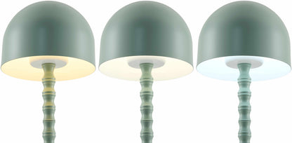 Magdagachi Table Lamp-5
