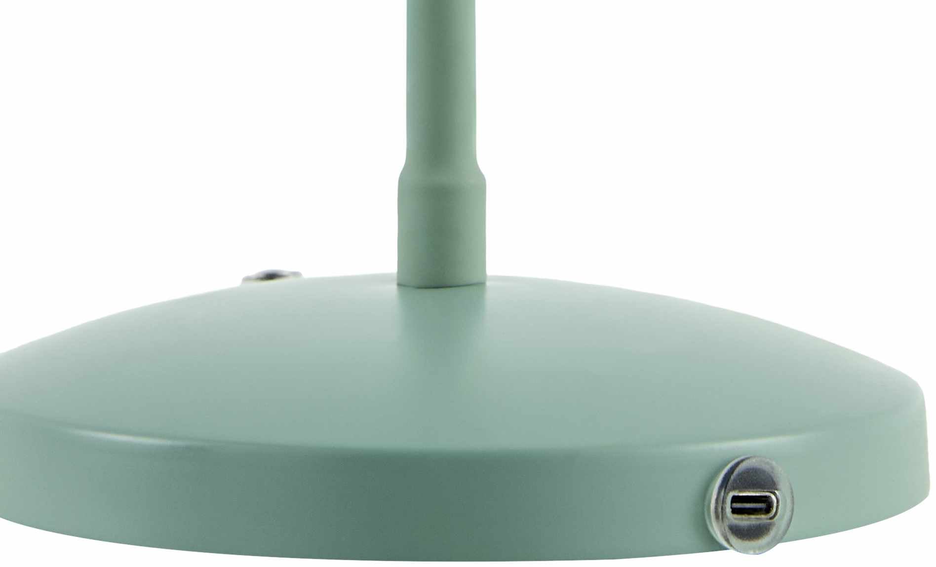 Pachiquita Table Lamp-2