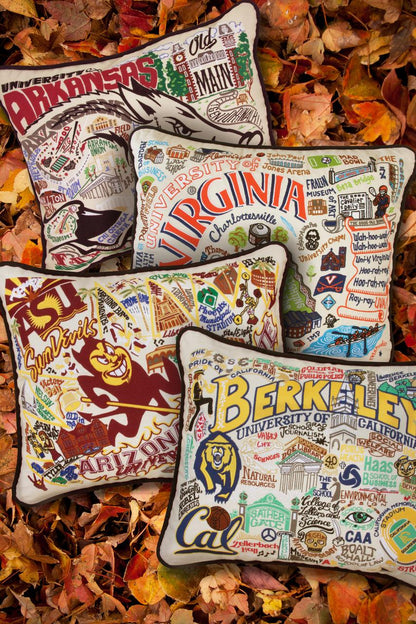 Arkansas, University of Collegiate Hand-Embroidered Pillow-3