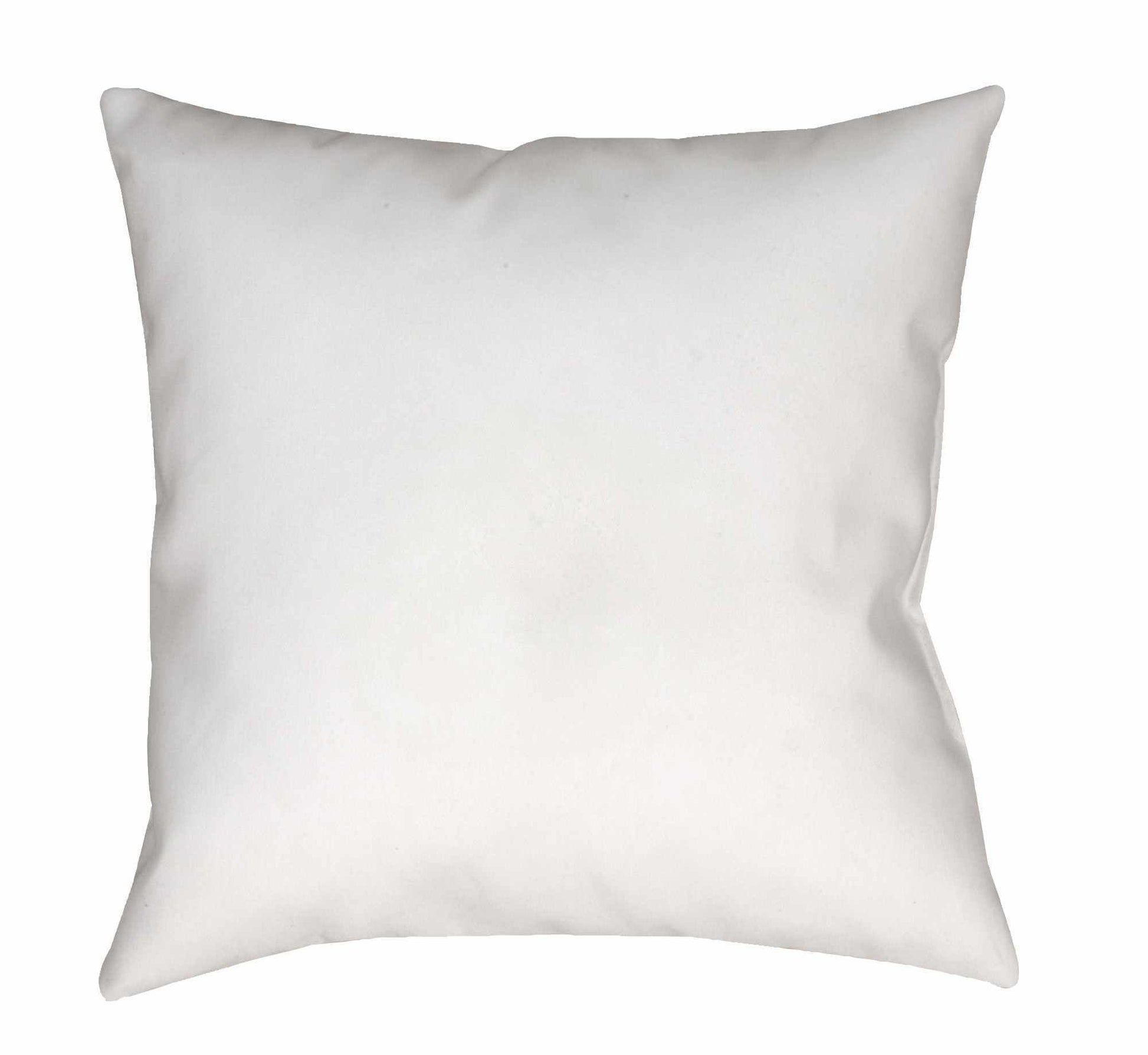 Bary Throw Pillow-2